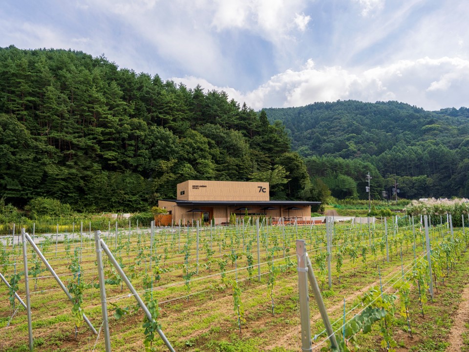 Vin De Yamanashi |